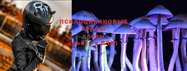ешки Нефтекумск
