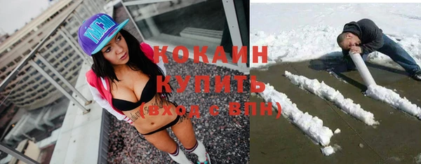 стаф Нея