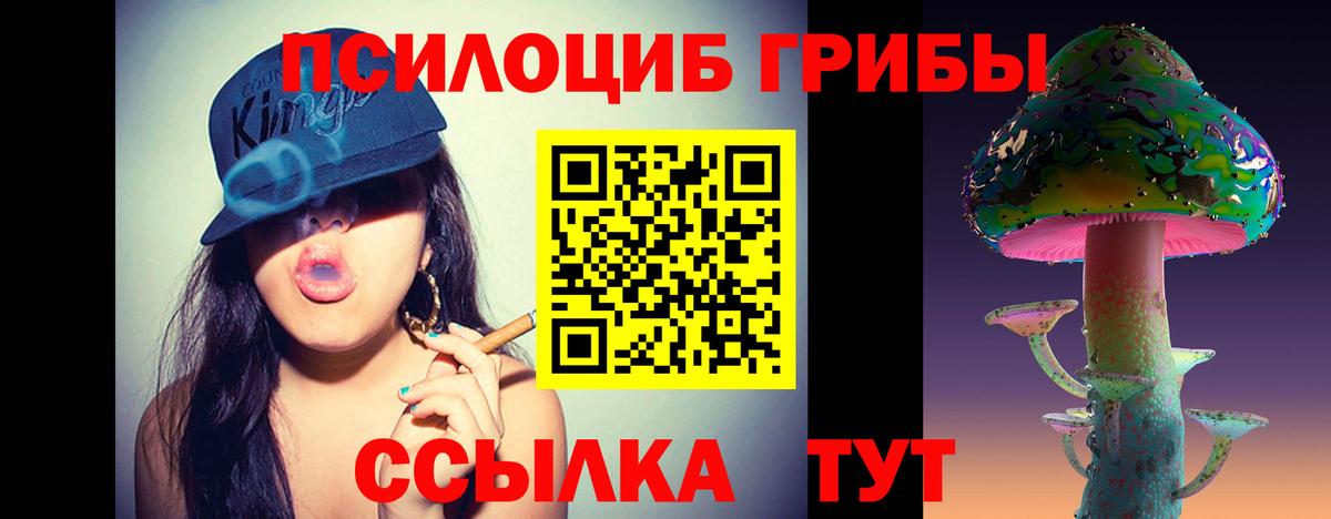 наркотики  Вход с VPN  Курчатов  Псилоцибиновые грибы Magic Shrooms  Псилоцибиновые грибы прущие грибы 